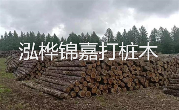 河道松木樁施工方案，保護(hù)水環(huán)境，促進(jìn)生態(tài)恢復(fù)