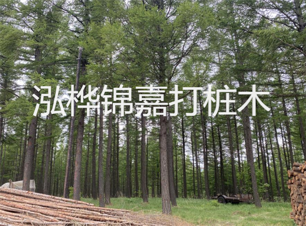 上海圍欄松木樁施工，為你打造安全舒適的園林空間