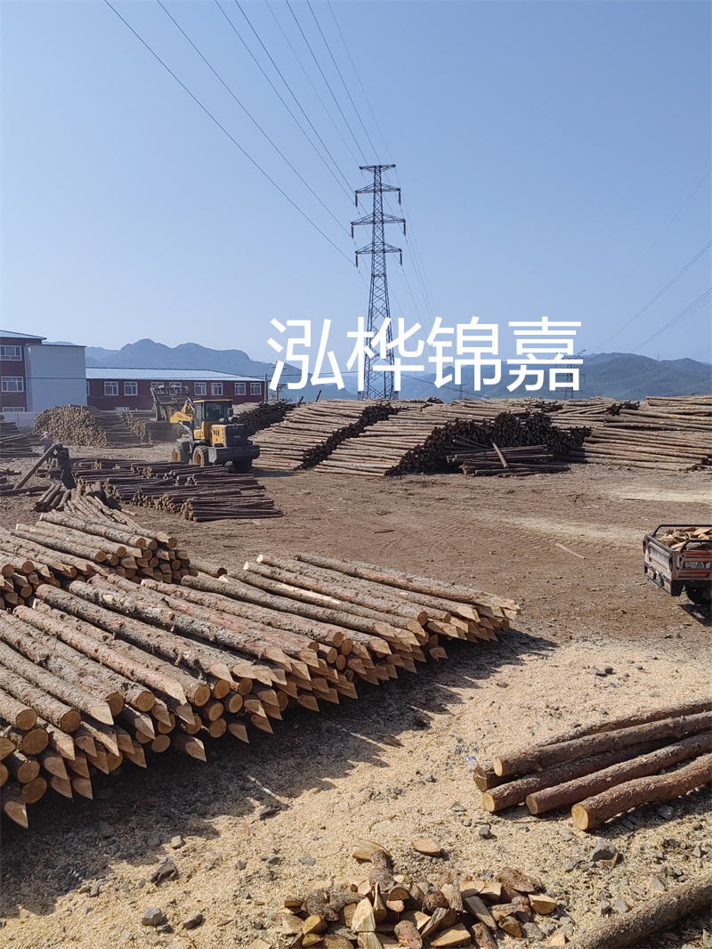 河道仿松木樁施工，打造生態(tài)環(huán)保的堤防保護(hù)系統(tǒng)