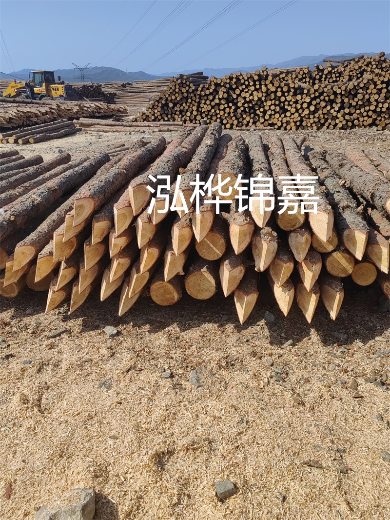 宿州哪里賣松木樁？了解一下木材市場(chǎng)